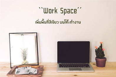 "Work Space" เพิ่มพื้นที่สีเขียว บนโต๊ะทำงาน
