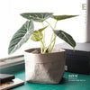 ECO POT