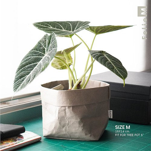 ECO POT