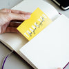 BUSINESS PREMIUM GIFT SET